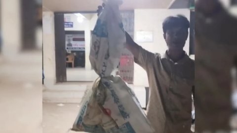 সাপের কামড় খেয়ে জ্যান্ত সাপ বস্তাবন্দী করে হাসপাতালে টাঙ্গাইলের কাদের